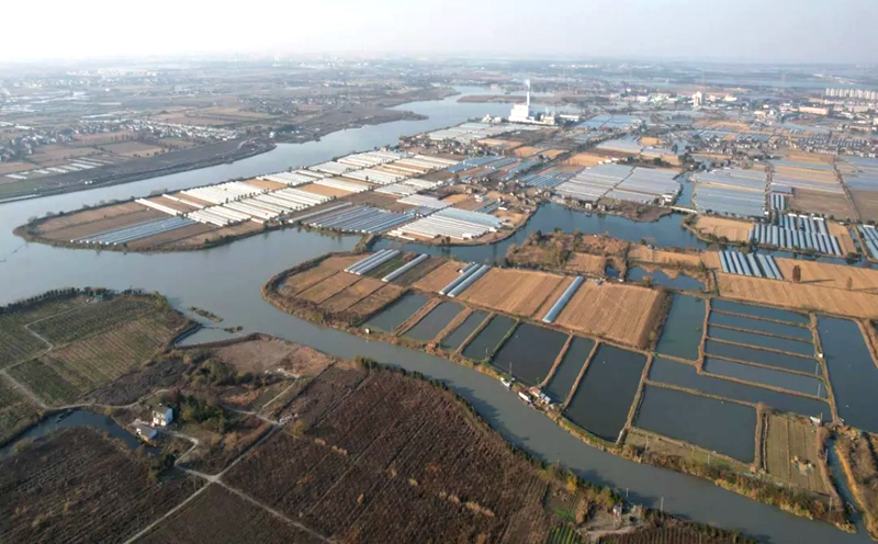 浙農股份牽頭發起的“浙江省未來農場產業技術聯盟”正式獲批成立